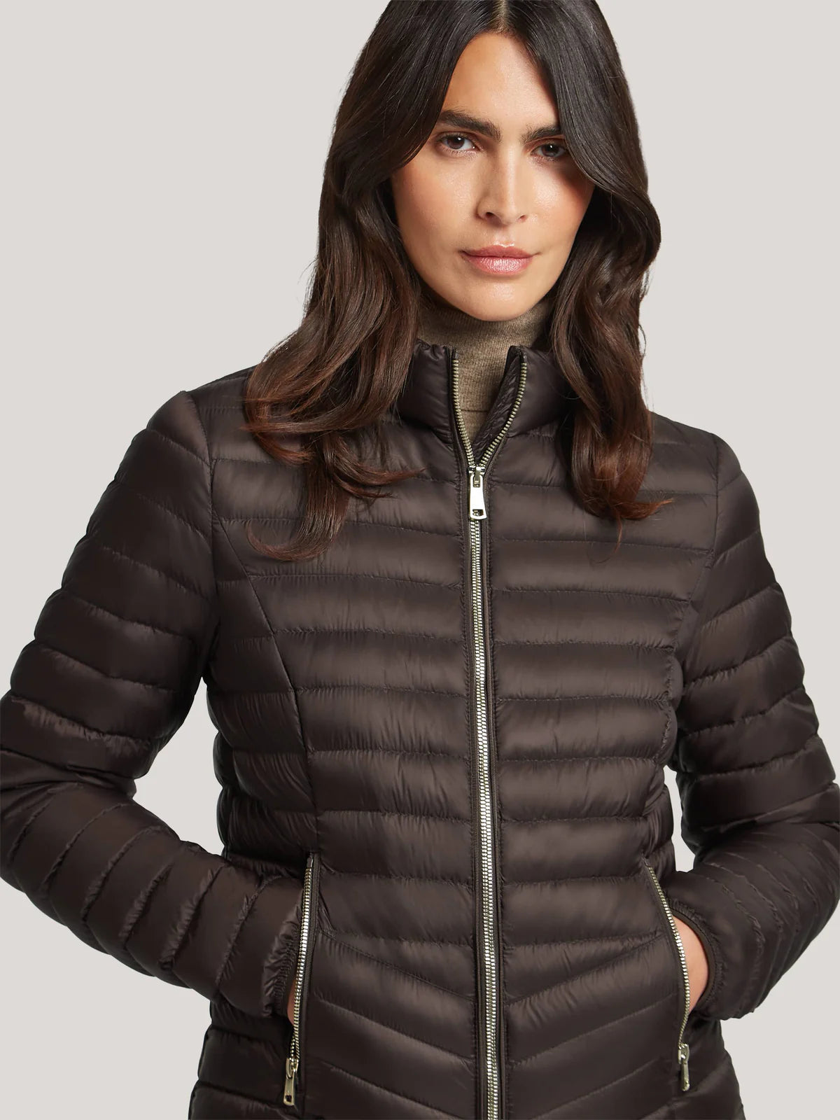 Chocolate Jacket