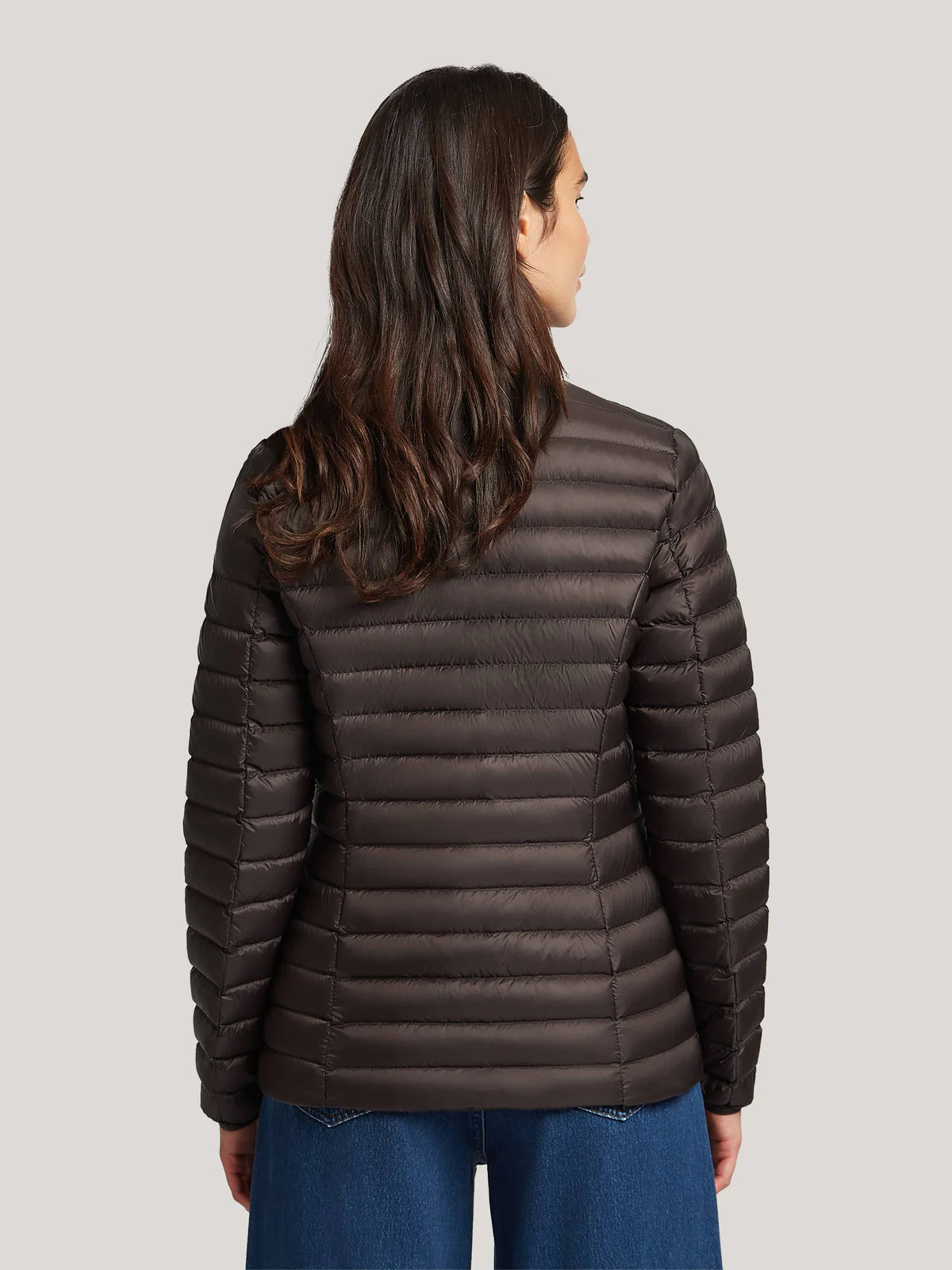 Chocolate Jacket