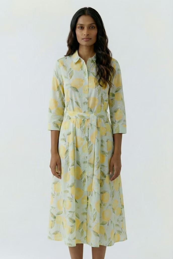 Lemon Printed Dress