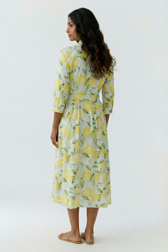 Lemon Printed Dress