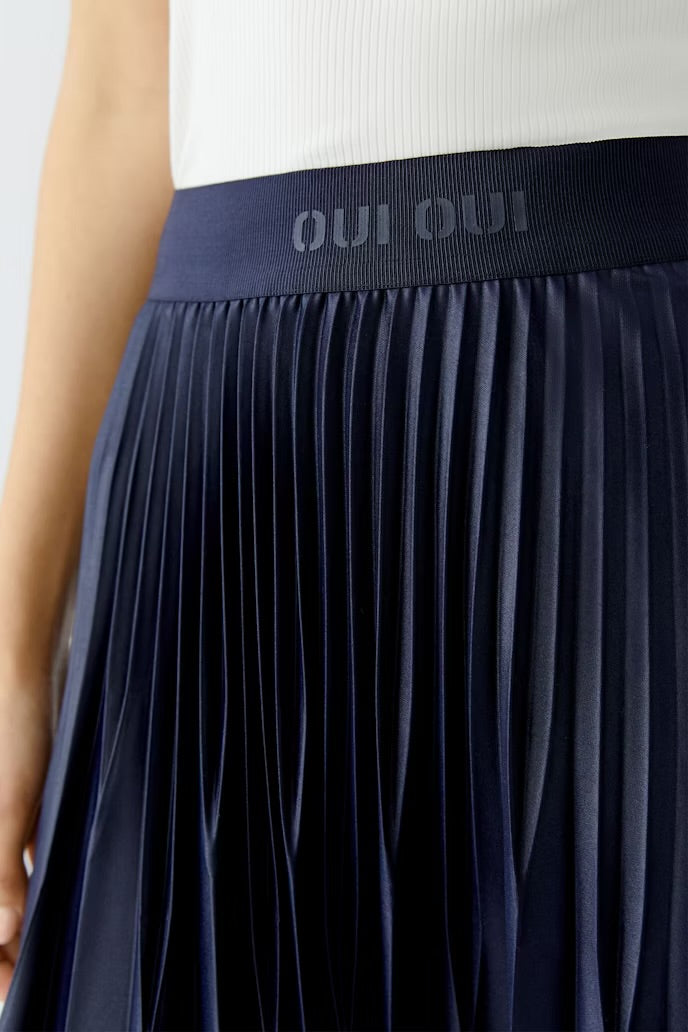 Navy Pleated Skirt
